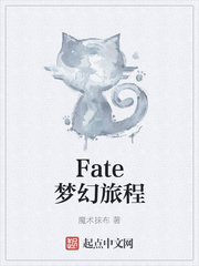 fate梦幻旅程 小说